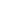 DP Logo White
