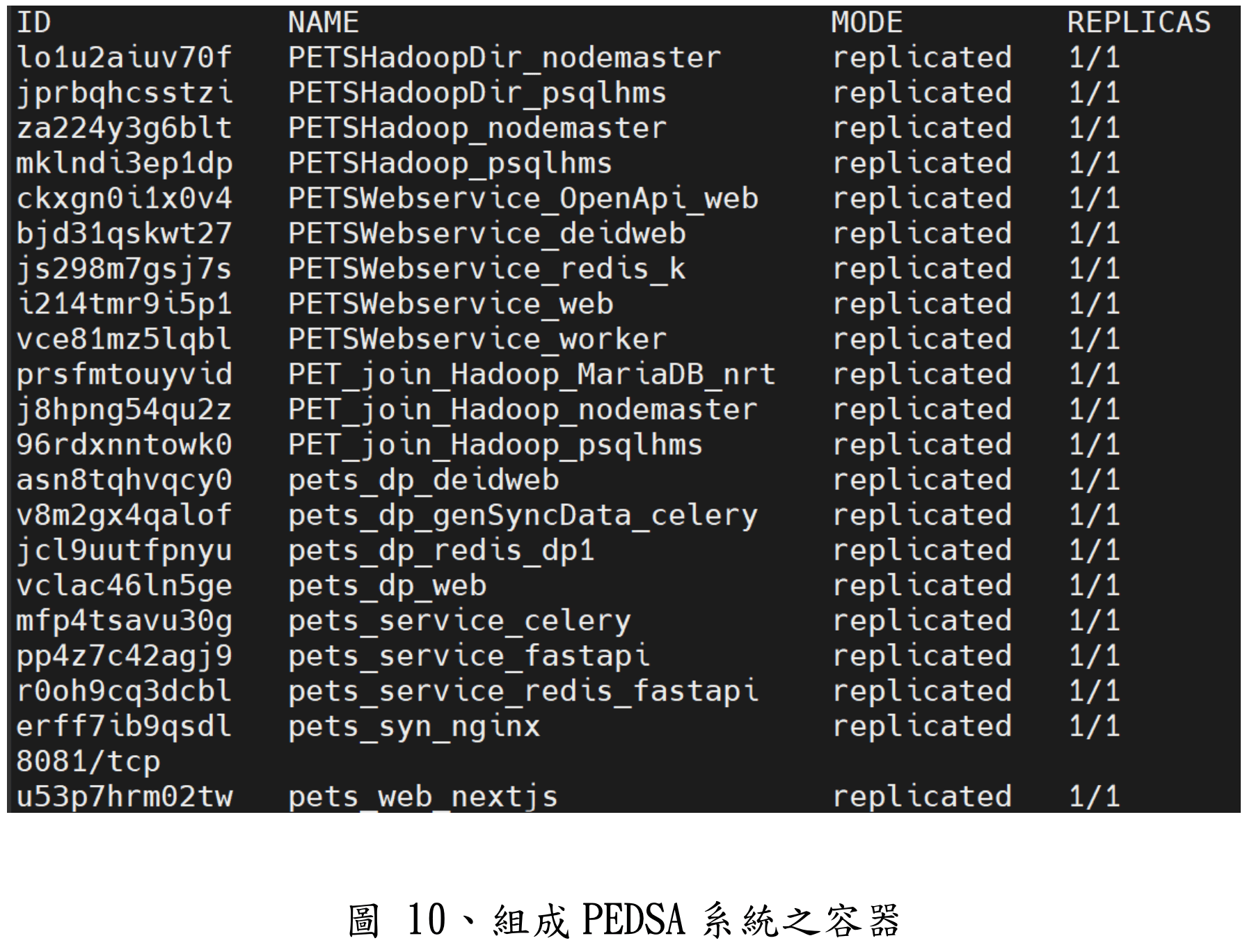 圖10: 組成PEDSA系統之容器