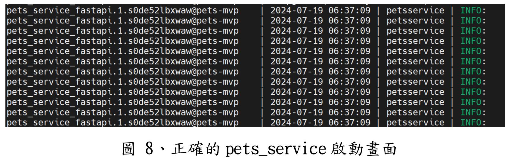 圖8: 正確的 pets_service 啟動畫面